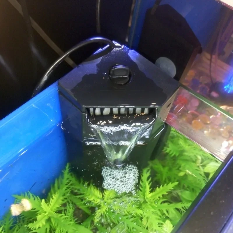Aquarium Fish For Beginners - 1 قطعة جديد الداخلي لل سلحفاة
