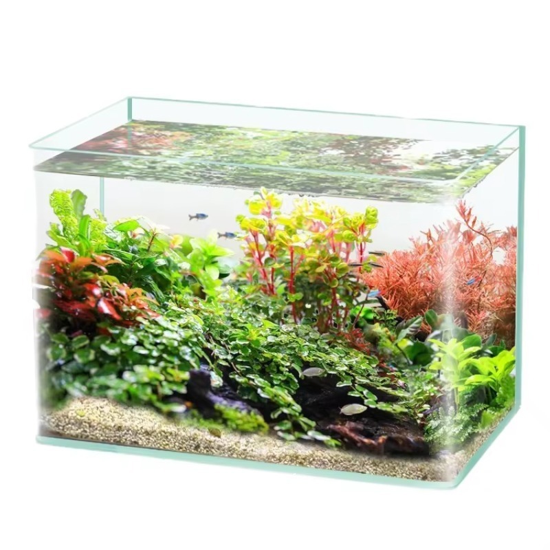 Box Fish In Aquarium - صندوق تعبئة سطح المكتب لحوض السمك،