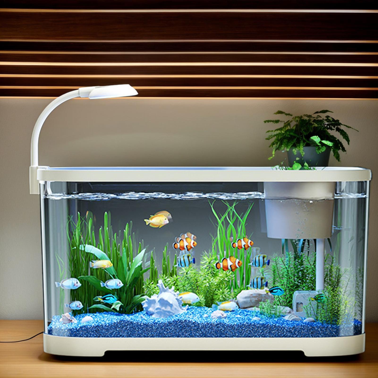 Aquarium Fish For Beginners - مجموعة حوض السمك كاتب بيتا خزان