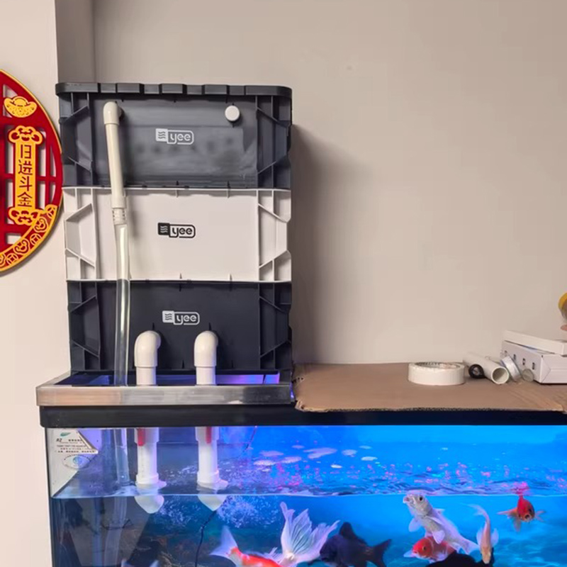 Box Fish In Aquarium - مرشحات خزان الأسماك حوض السمك صندوق