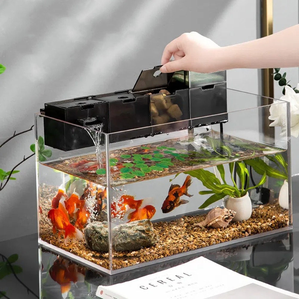 Box Fish In Aquarium - فلتر خارجي ثلاثي الوظائف لأحواض السمك،