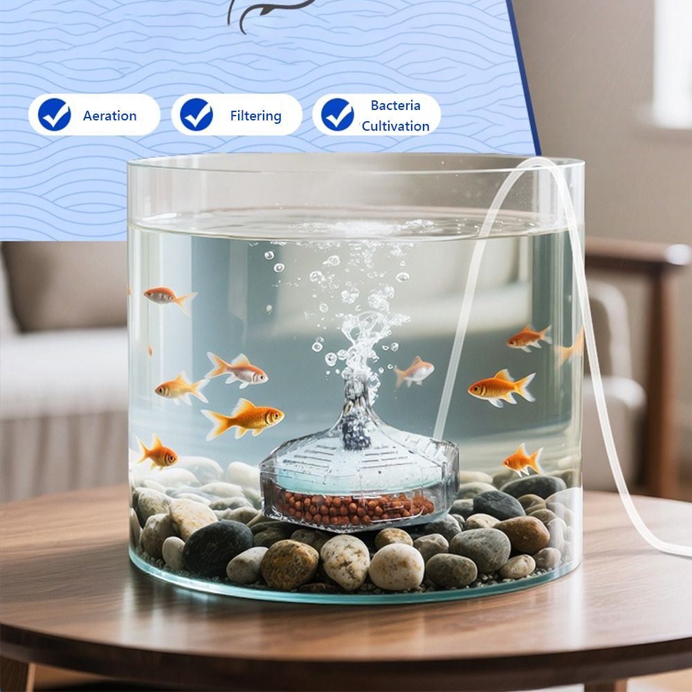 Aquarium Fish For Beginners - جديد المحمولة حوض السمك خزان الأسماك