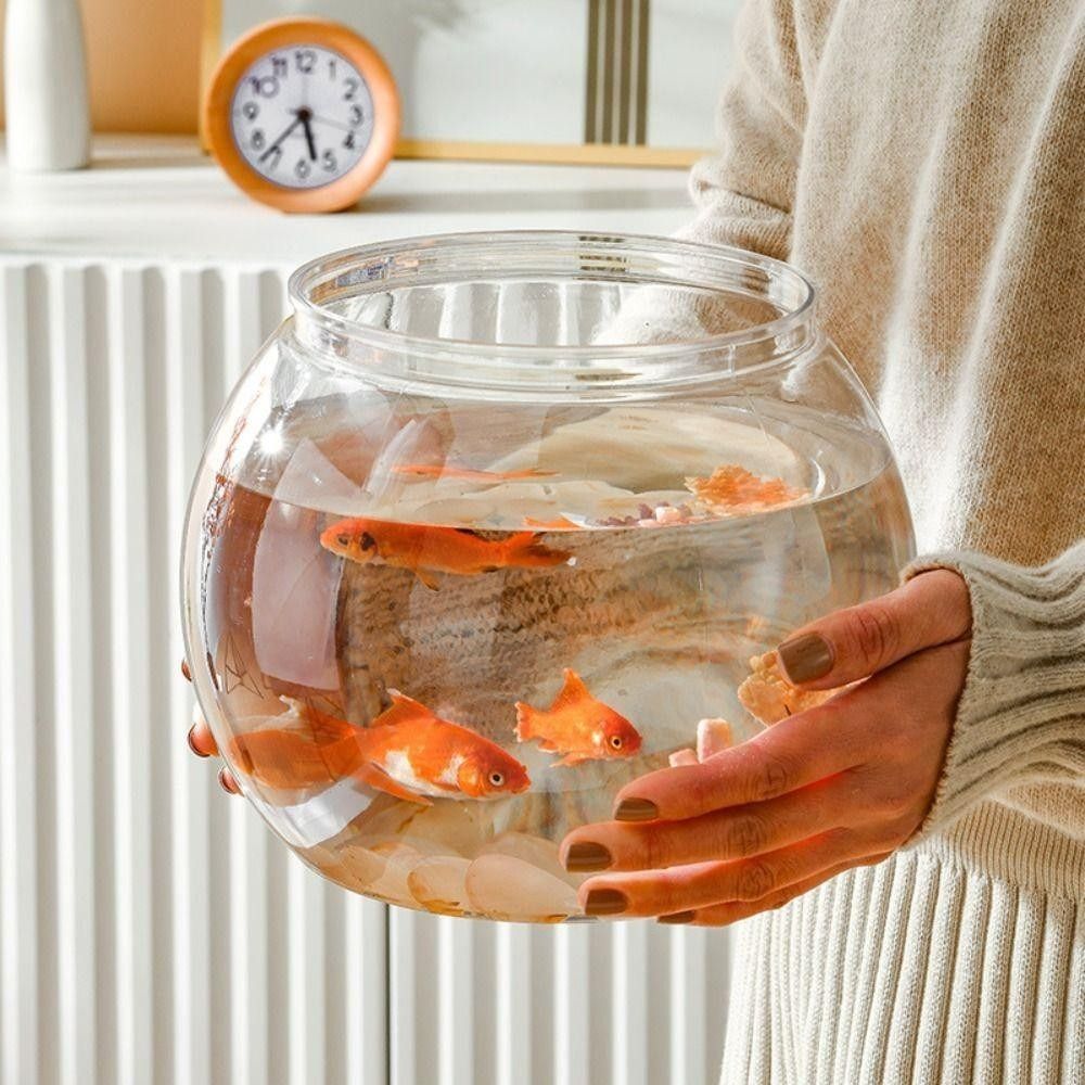 Aquarium Fish For Beginners - جديد شفاف خزان الأسماك جولة غير