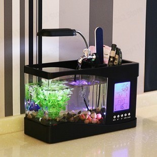 حوض سمك صغير إبداعي للمكتب يعم - مراجعة Aquarium Fish Logo وسعره