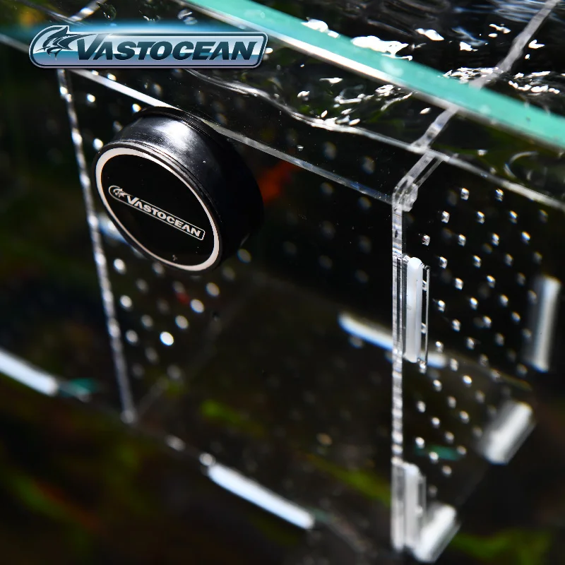 VASTOCEAN خزان الأسماك المغناط - مراجعة Box Fish In Aquarium وسعره
