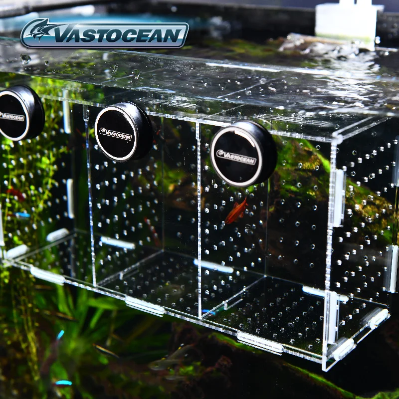 VASTOCEAN خزان الأسماك المغناط - مراجعة Box Fish In Aquarium وسعره