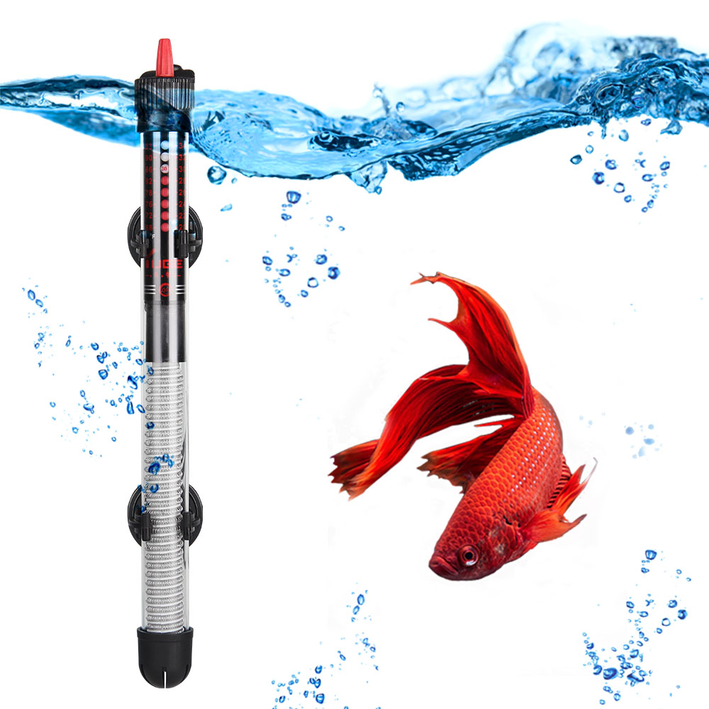 110 فولت-220 فولت قابل للتعديل - مراجعة Aquarium Fish Cold Water وسعره