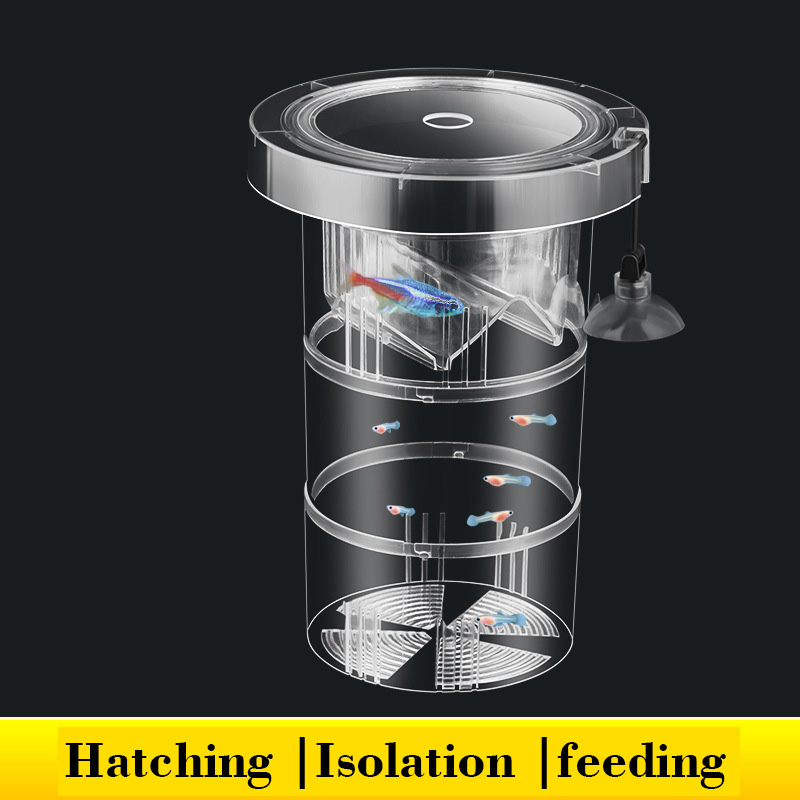 صندوق عزل تربية الأسماك العائم - مراجعة Box Fish In Aquarium وسعره