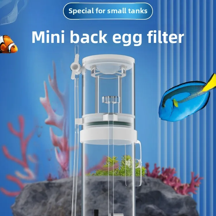فاصل بروتين جديد صغير للأحواض  - مراجعة Aquarium Fish For Beginners وسعره