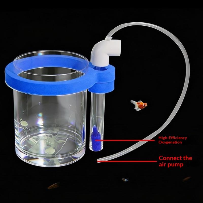 صندوق تربية أسماك شفاف من الأك - مراجعة Box Fish In Aquarium وسعره