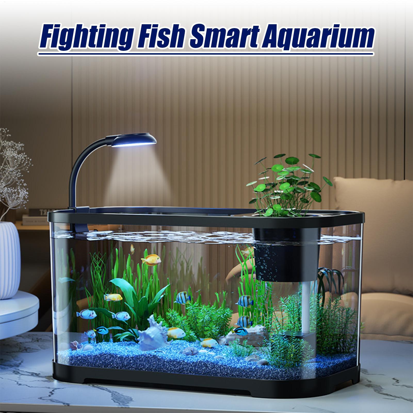 مجموعة حوض السمك كاتب بيتا خزا - مراجعة Aquarium Fish For Beginners وسعره