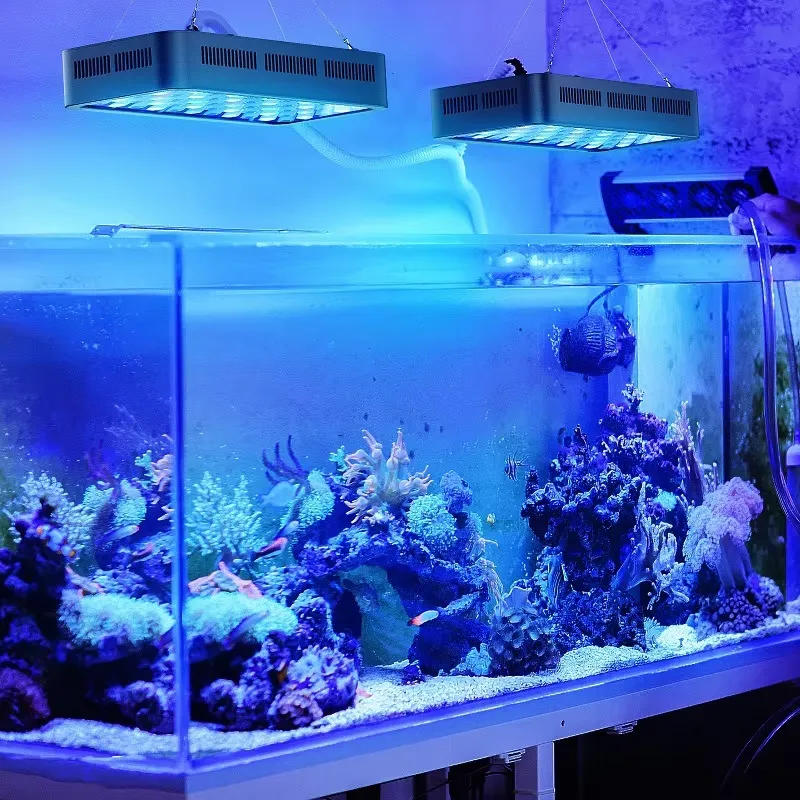 إضاءة حوض السمك LED بقوة 165 و - مراجعة Aquarium Fish App وسعره