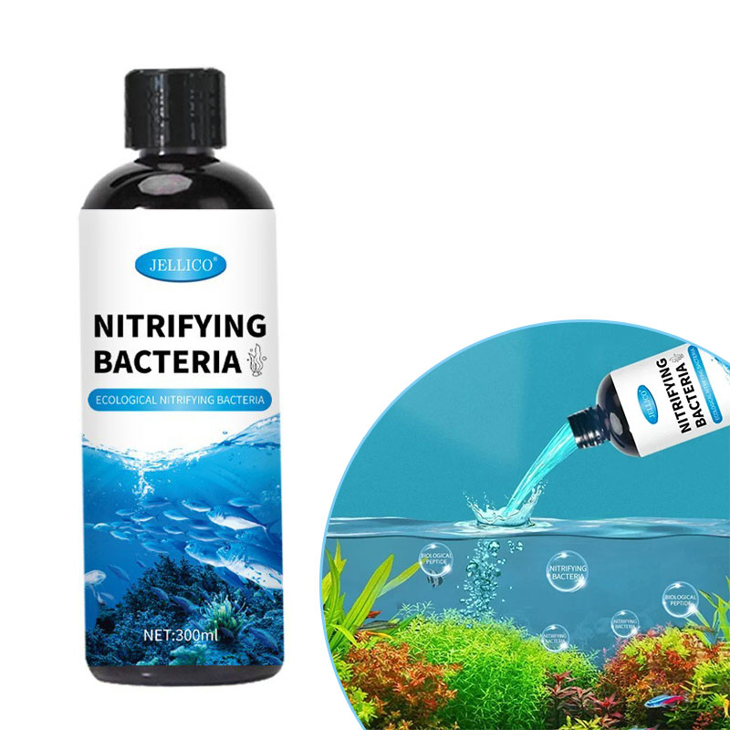 كمية البكتيريا السائلة خزان ال - مراجعة Aquarium Fish Breeding وسعره