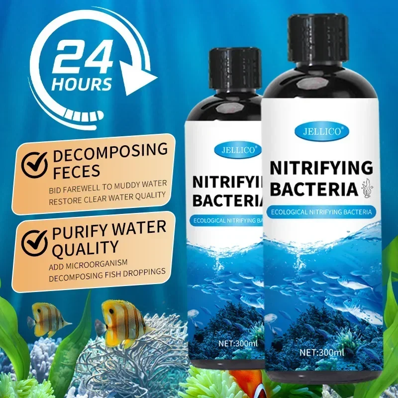 كمية البكتيريا السائلة خزان ال - مراجعة Aquarium Fish Breeding وسعره