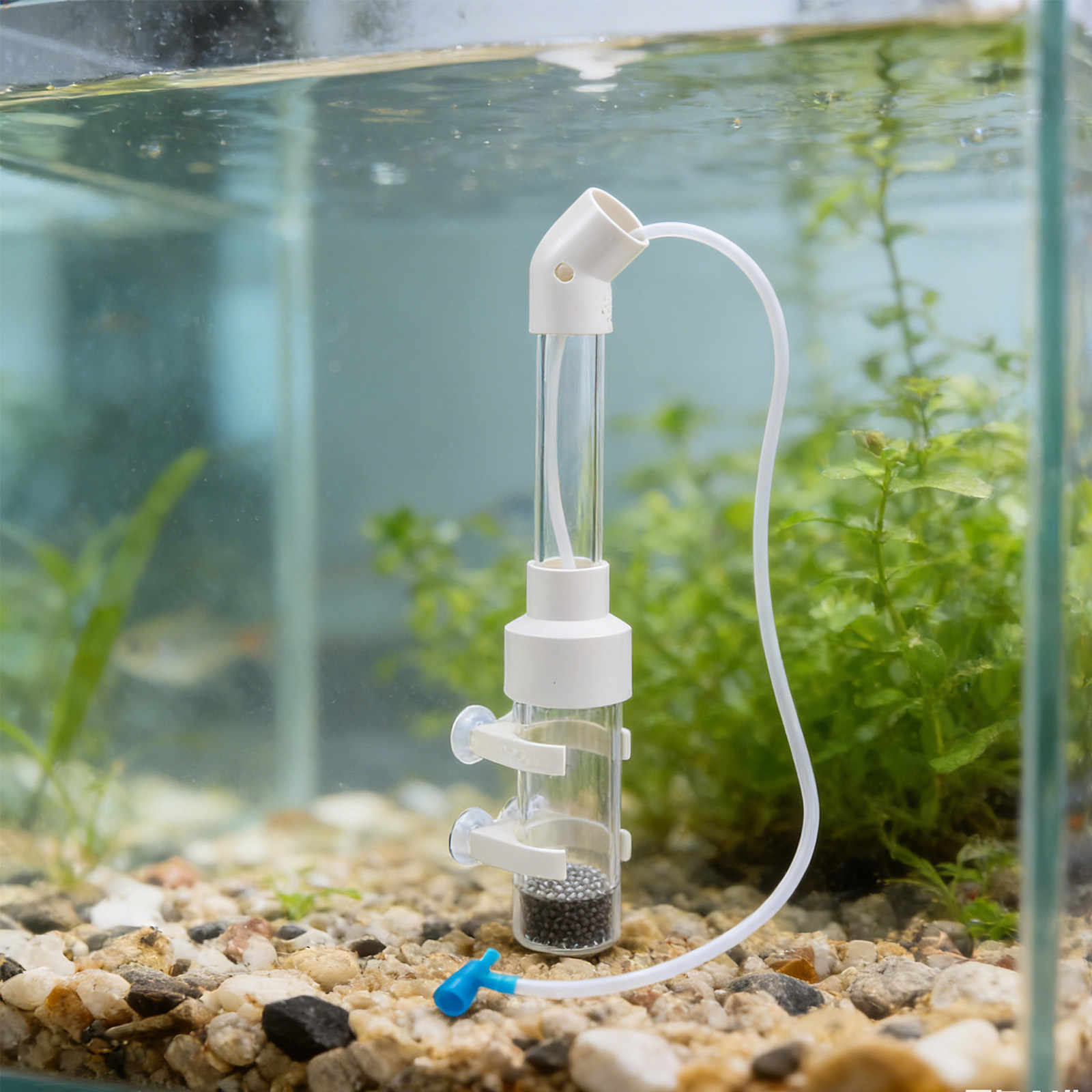مجموعتان من أجهزة تفريخ بيض ال - مراجعة Box Fish In Aquarium وسعره