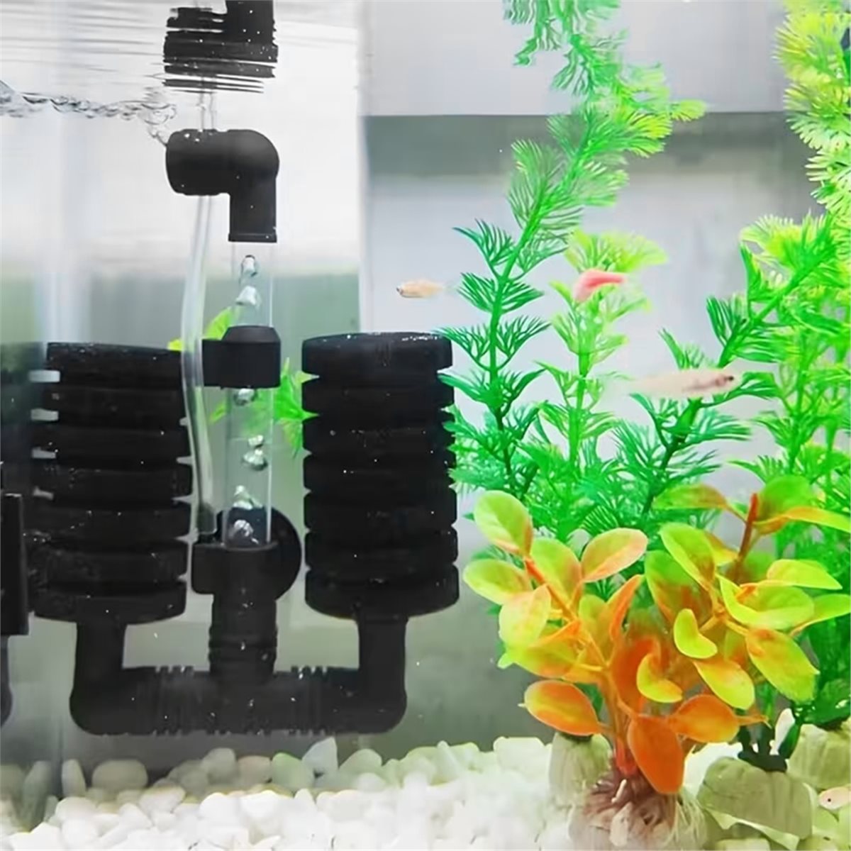 【قائمة المنتجات الأساسية】 فلتر - مراجعة Aquarium Fish List وسعره