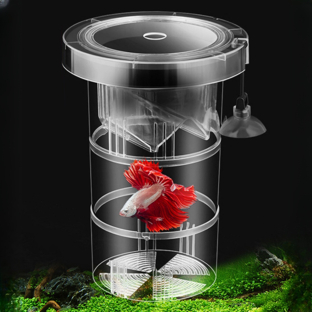 الاكريليك العائمة تربية الأسما - مراجعة Box Fish In Aquarium وسعره
