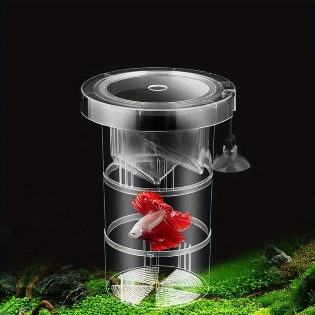 الاكريليك العائمة تربية الأسما - مراجعة Box Fish In Aquarium وسعره