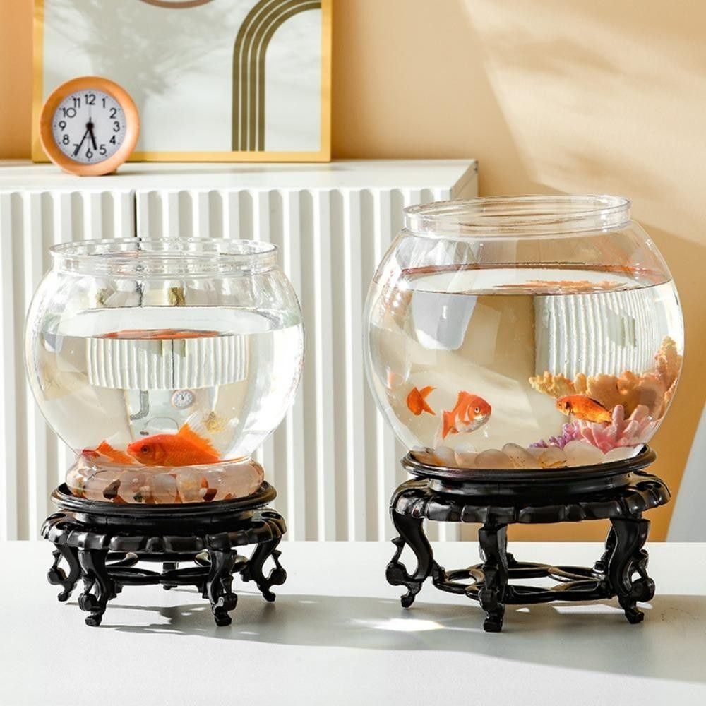 جديد شفاف خزان الأسماك جولة غي - مراجعة Aquarium Fish For Beginners وسعره