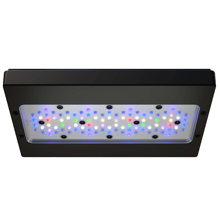 إضاءة LED A8 PRO III Max و Blu - مراجعة Aquarium Fish App وسعره