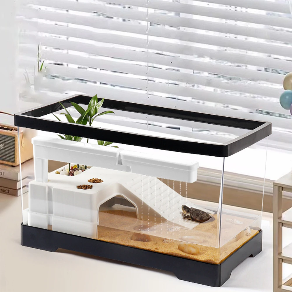 خزان السلحفاة الكبيرة الشفافة  - مراجعة Box Fish In Aquarium وسعره